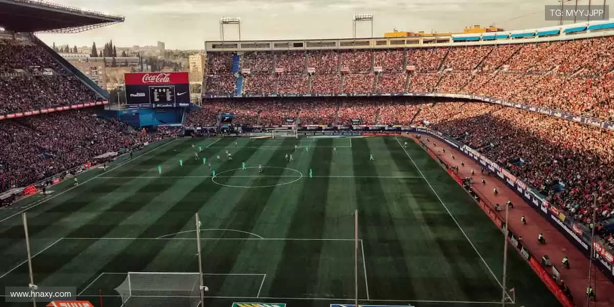 🎉 弹幕、解说、回放，直播乐趣不止于观看！